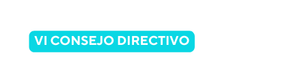 VI CONSEJO DIRECTIVO